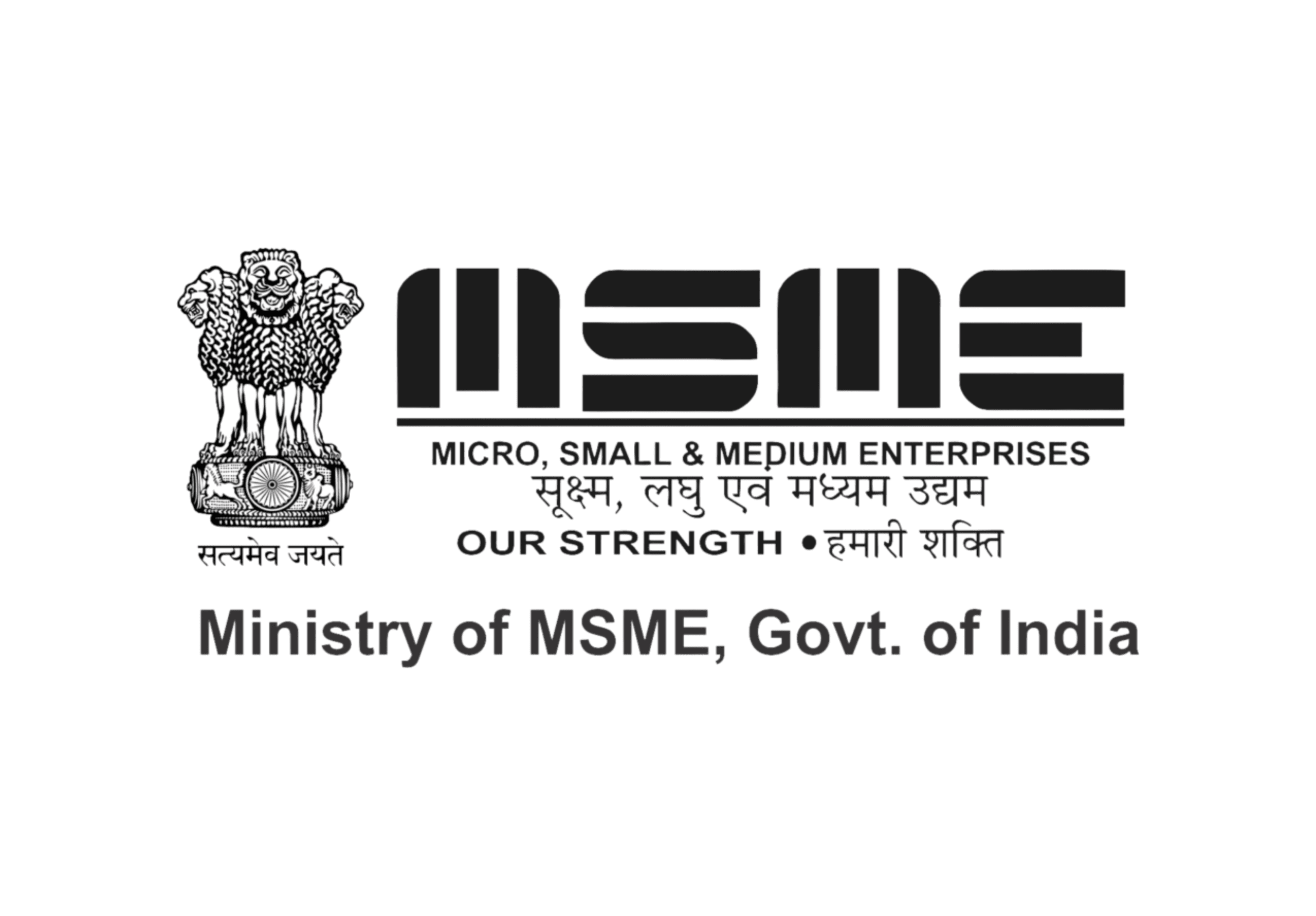 Micro, Small, and Medium Enterprises